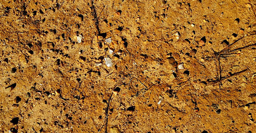 The hiking trail map for the Ella region from the Pekoe Trail.