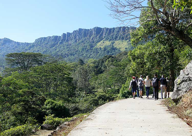 Kandy