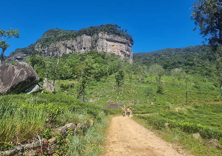 View of a hill in Sri Lanka