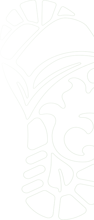 footprint-300x700