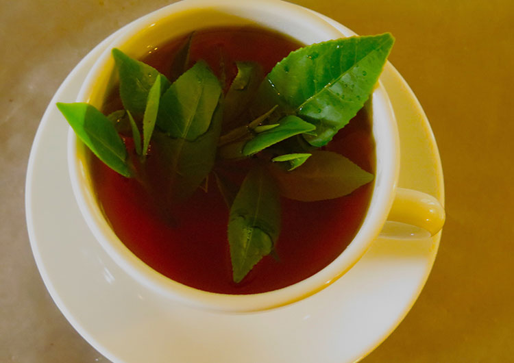 Ettampitiya tea factory