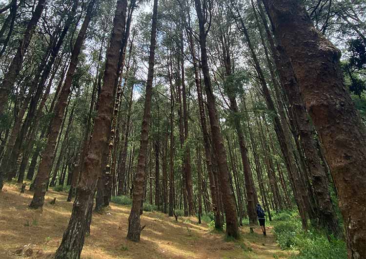 Galways-Land-National-Park