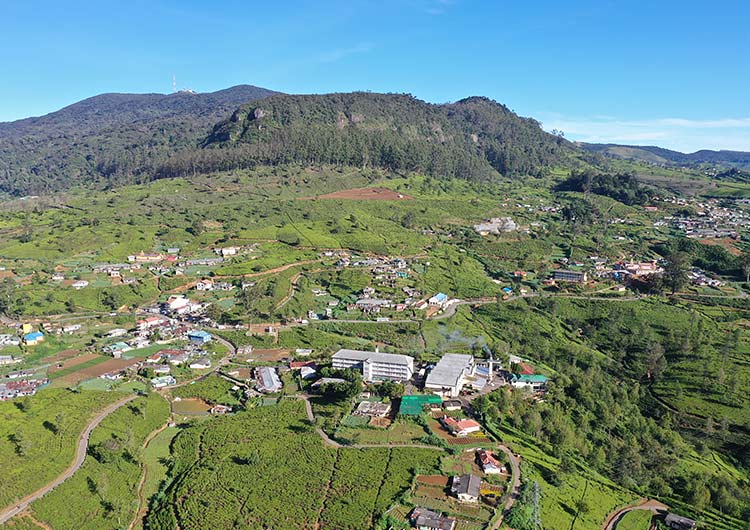 Pedro Estate Tea Factory