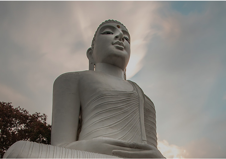 Sri-Maha-Bodhi-Viharaya
