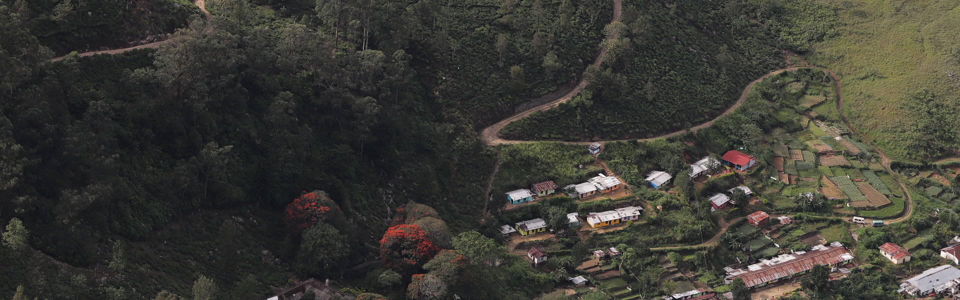 A snapshot of the Pekoe Trail, where it makes National Geographic’s Coveted ‘Best of the World’ List for 2024.