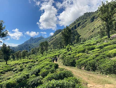 A snapshot of the Pekoe Trail, Sri Lanka’s first long-distance hiking trail.