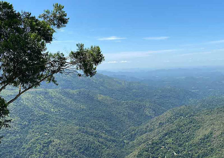 A view of the Central Highland Mountains in Sri Lanka from the Pekoe Trail hiking