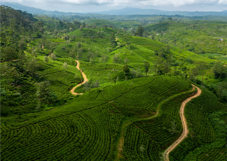 the-pekoe-trail-in-sri-lanka